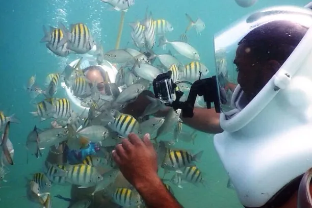 snuba adventure and fish