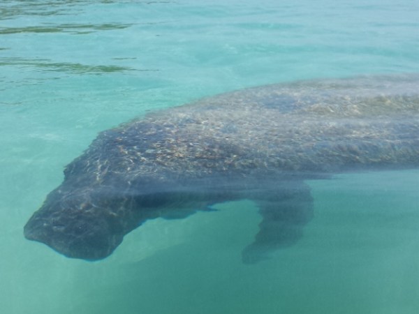 20130712_130419-1024×576 20130712_130419-1024×576