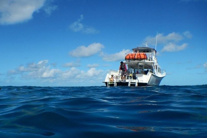 46’ Newton Custom Dive Boats