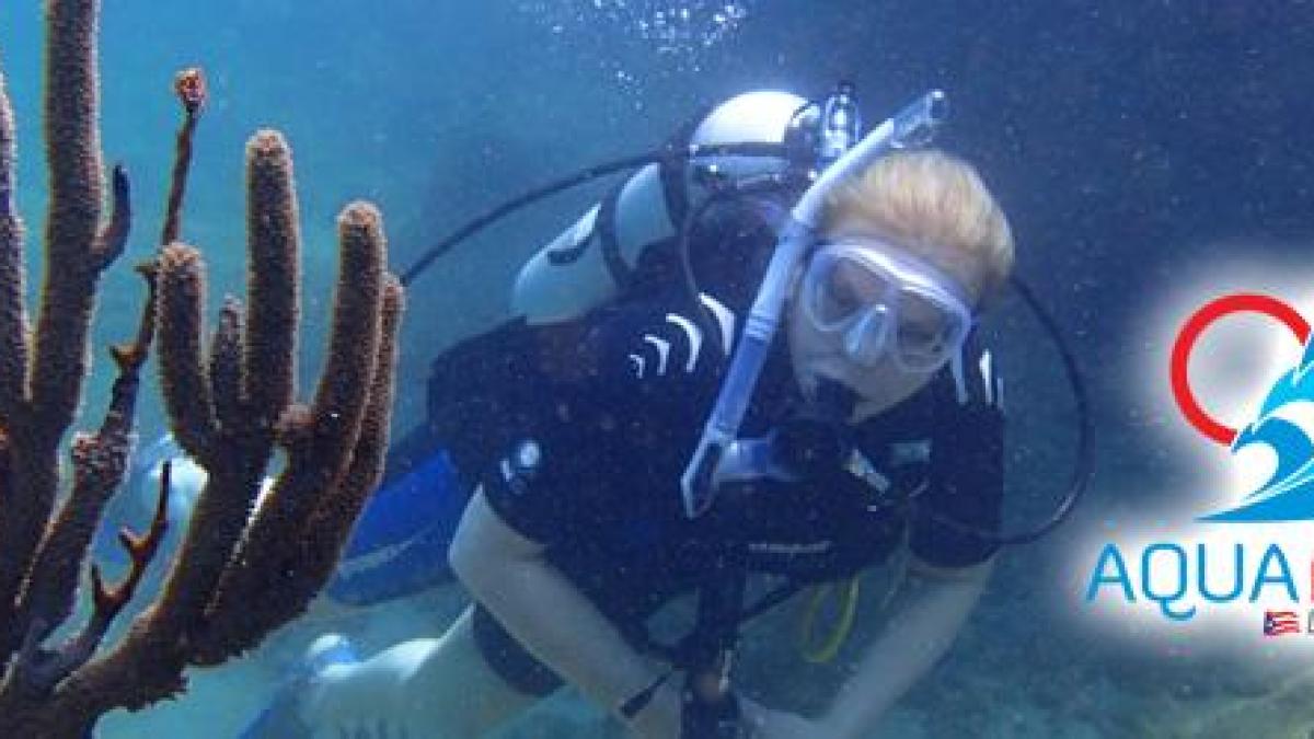 Snorkeler observing coral reef