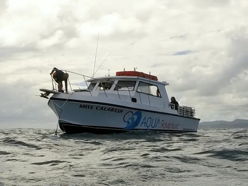 Miss Calabash Newton 46'