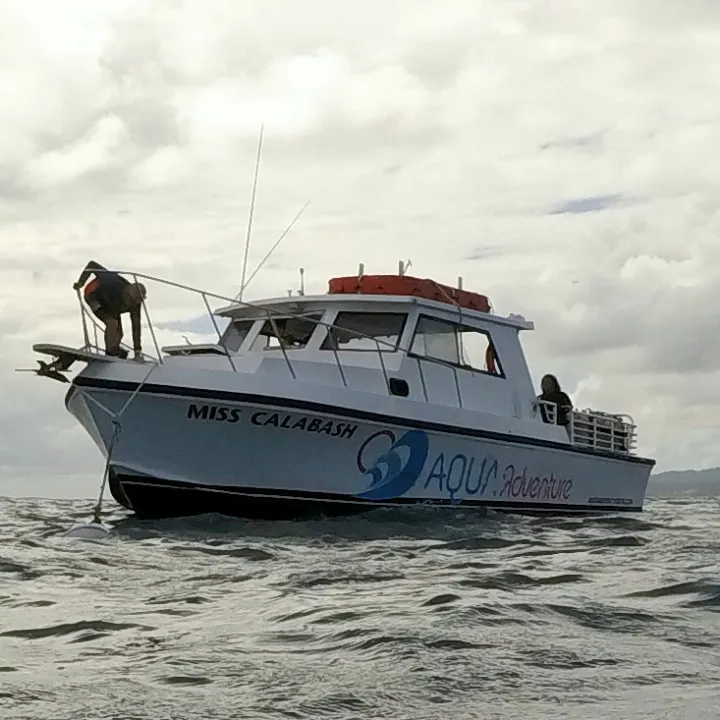 Miss Calabash Newton 46'