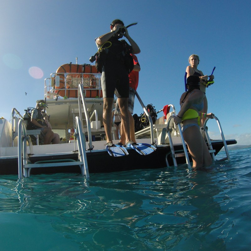 Snorkelers jumping off boat