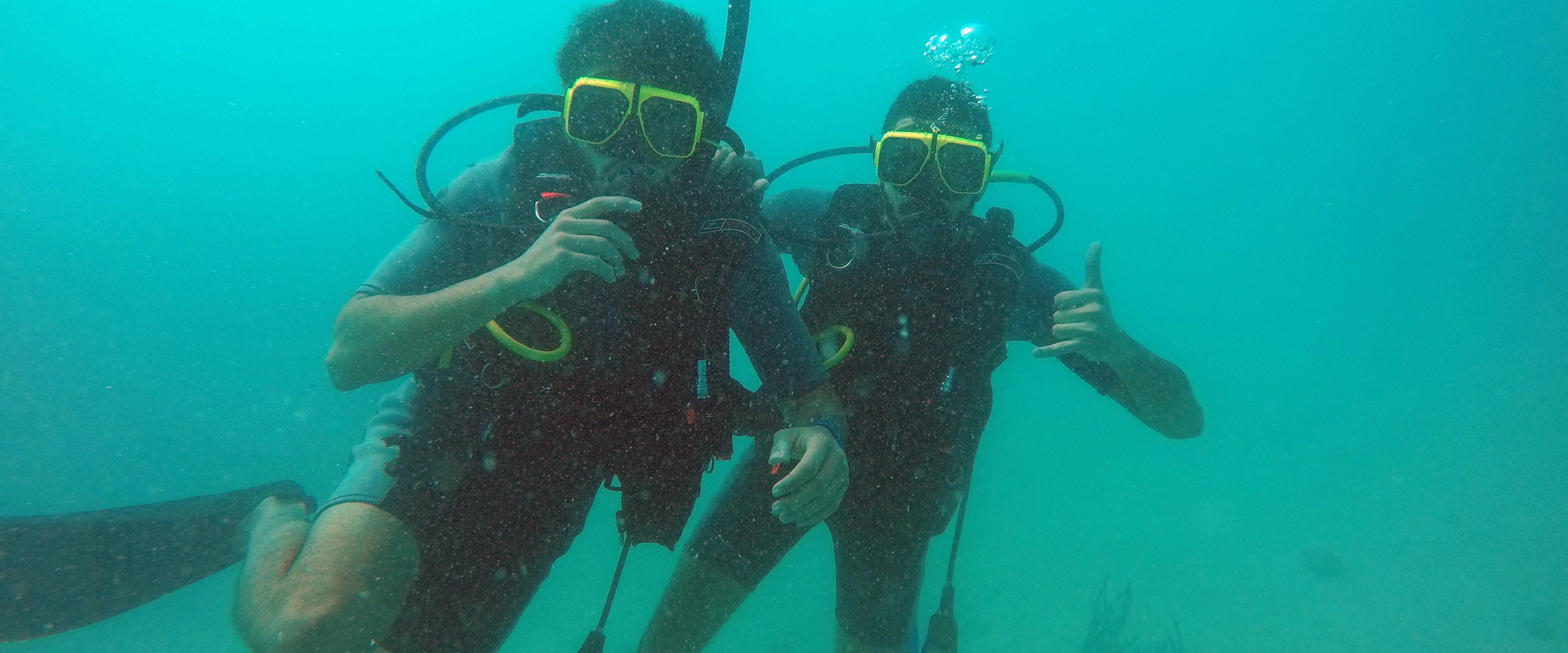 Scuba Divers under the sea