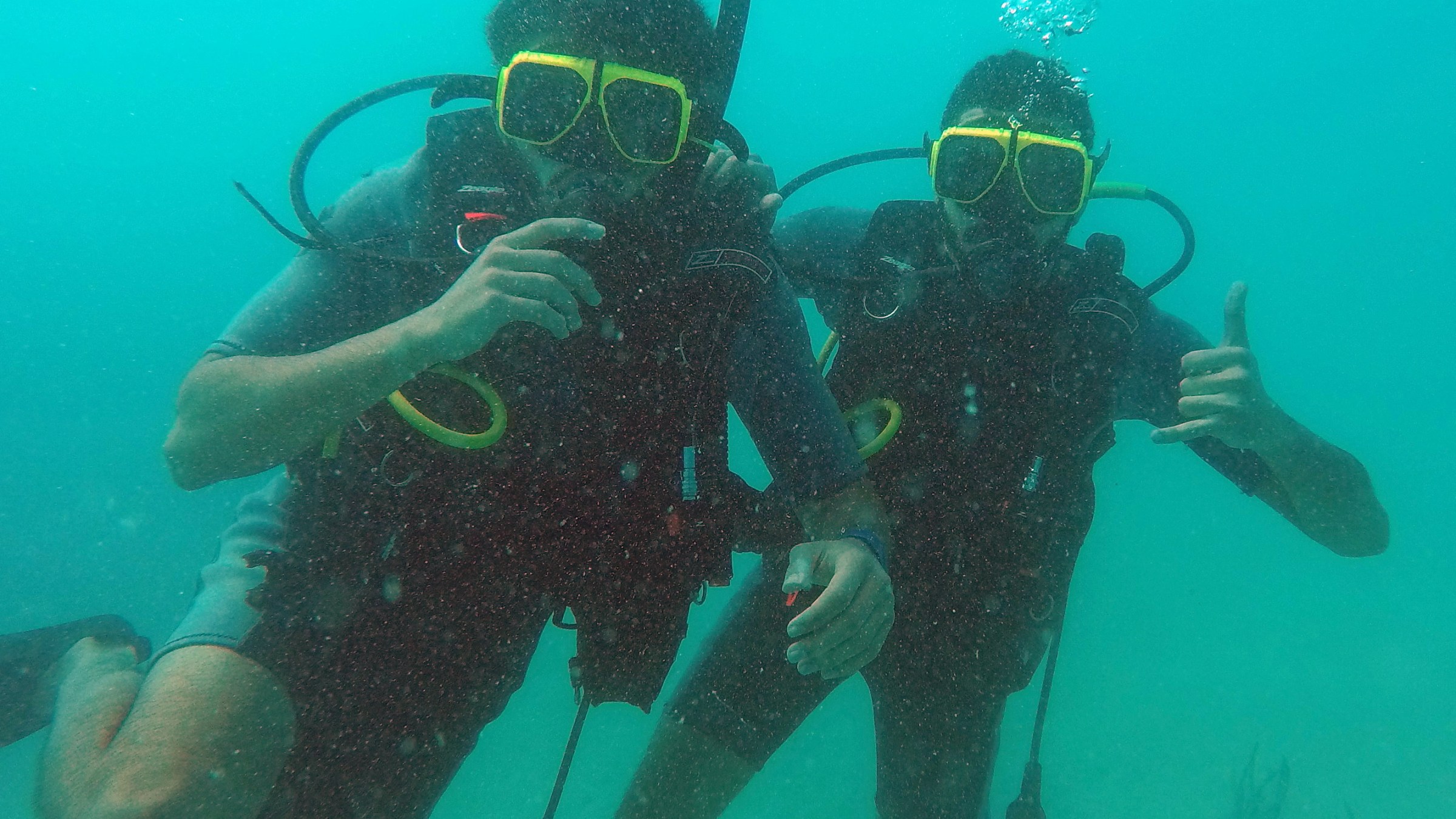 Scuba Divers in Puerto Rico
