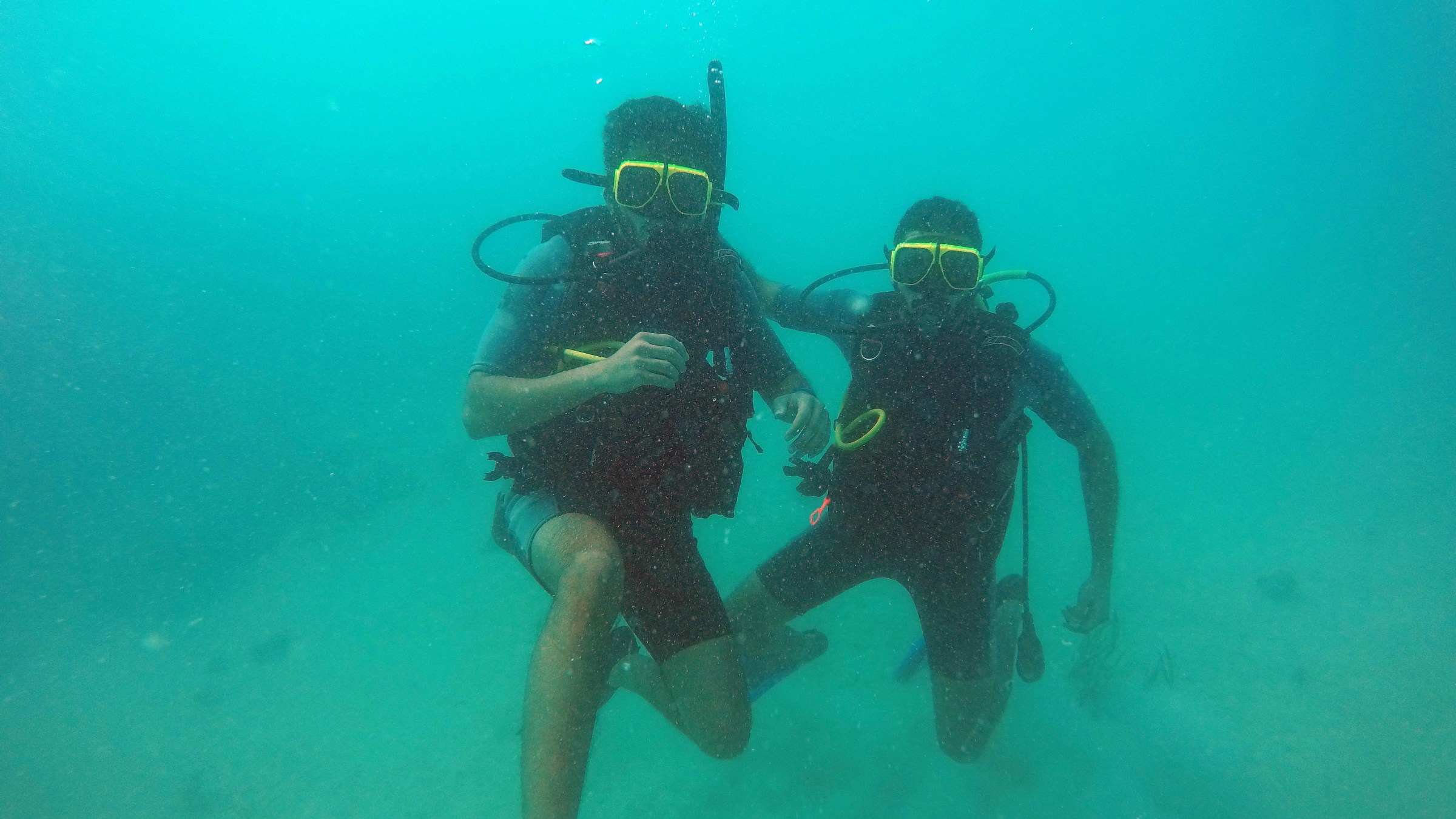 Scuba divers under the sea