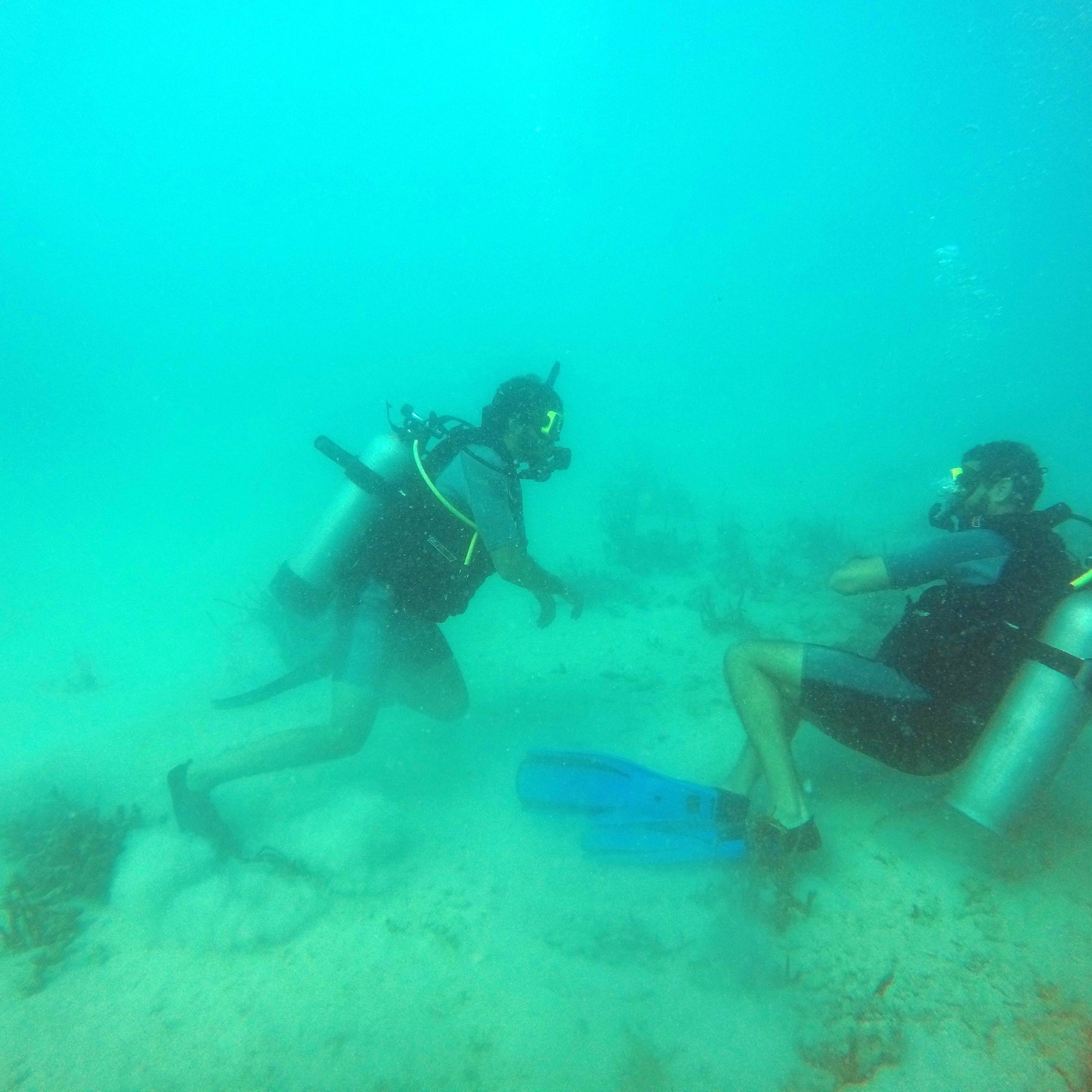 Scuba divers swimming near bottom