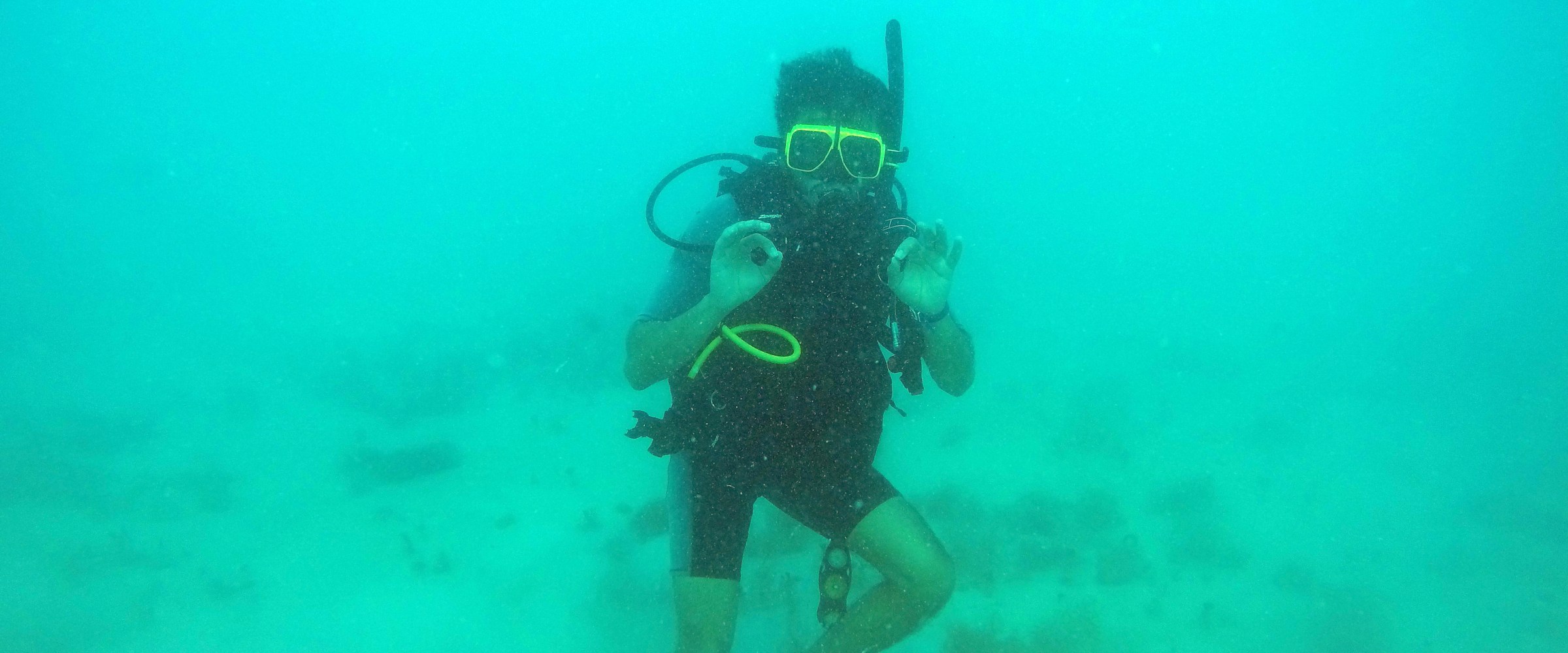 Scuba diver under the sea
