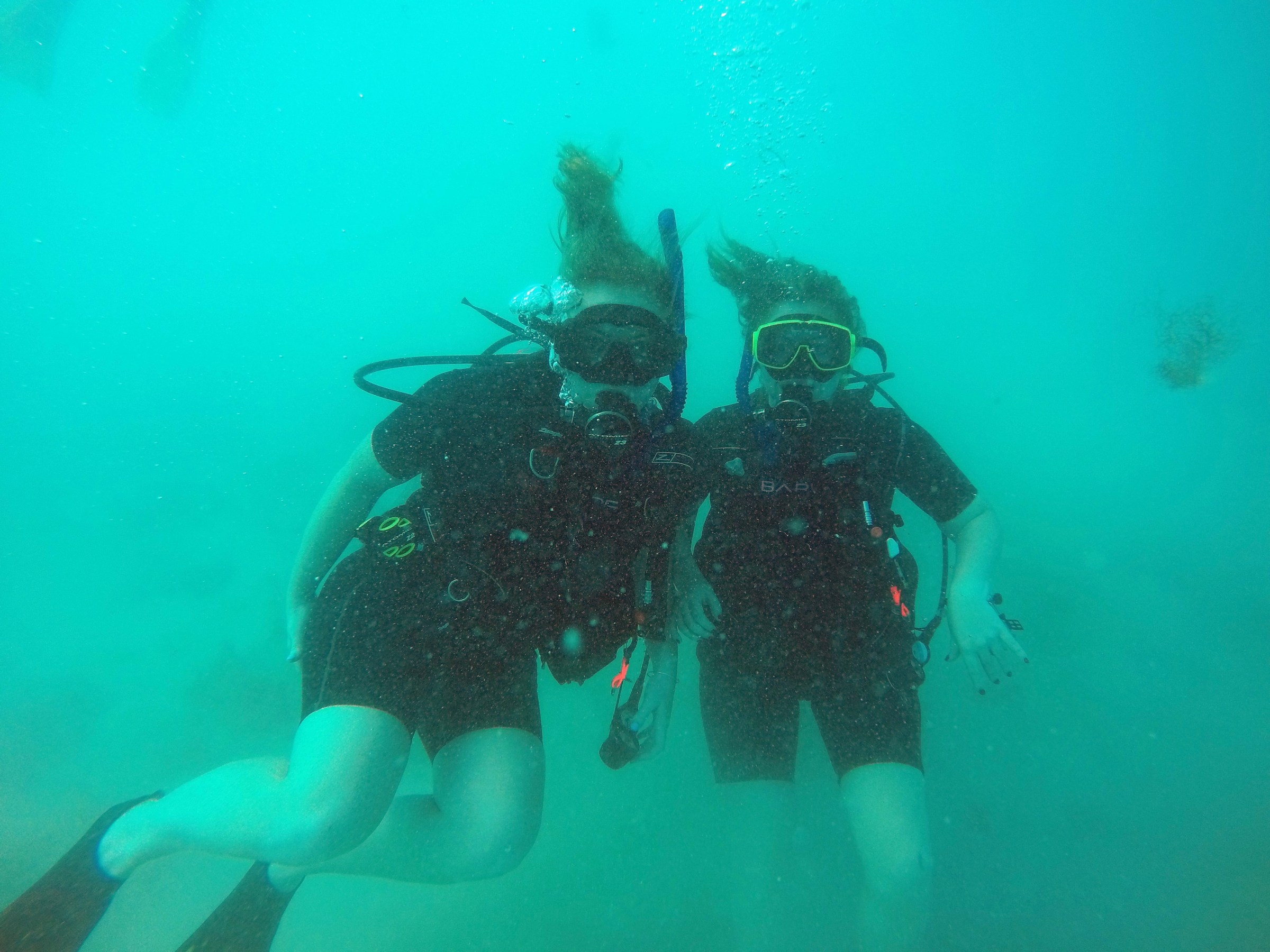Scuba divers
