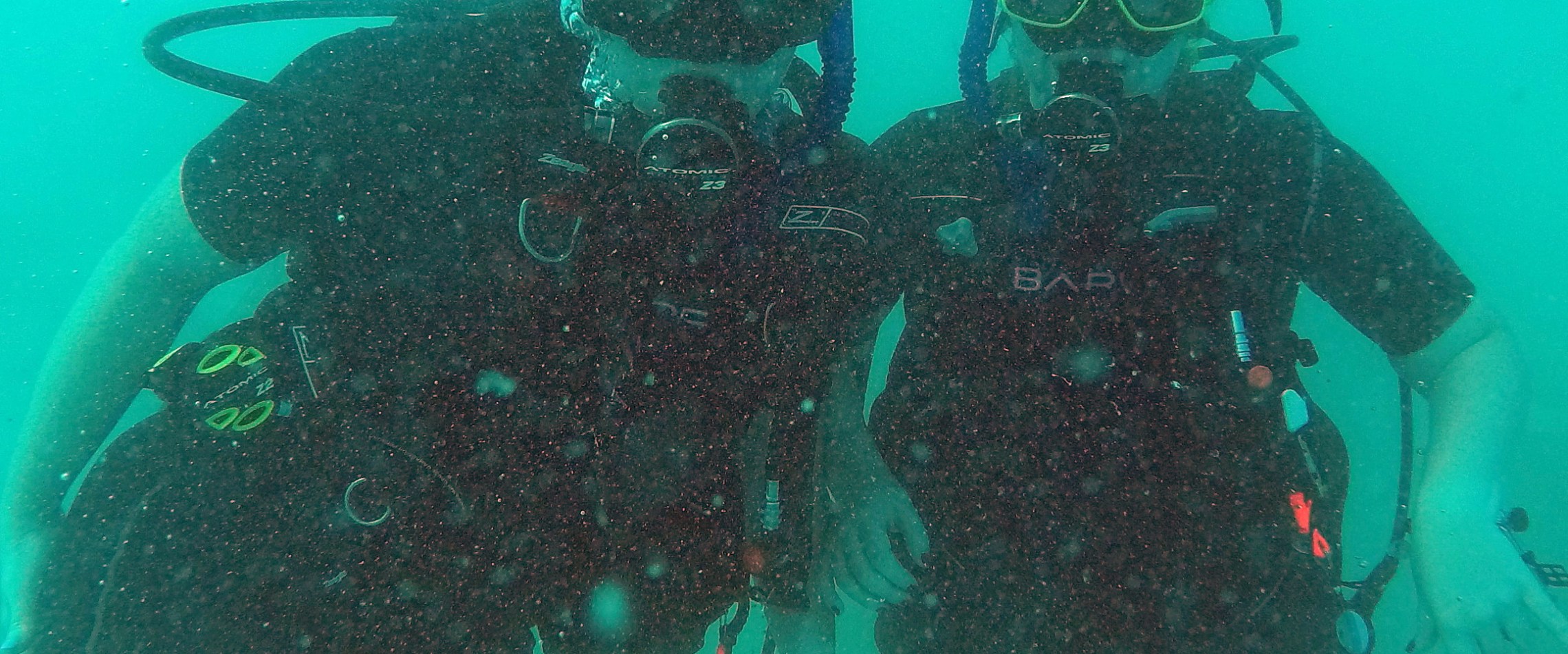 Two scuba divers