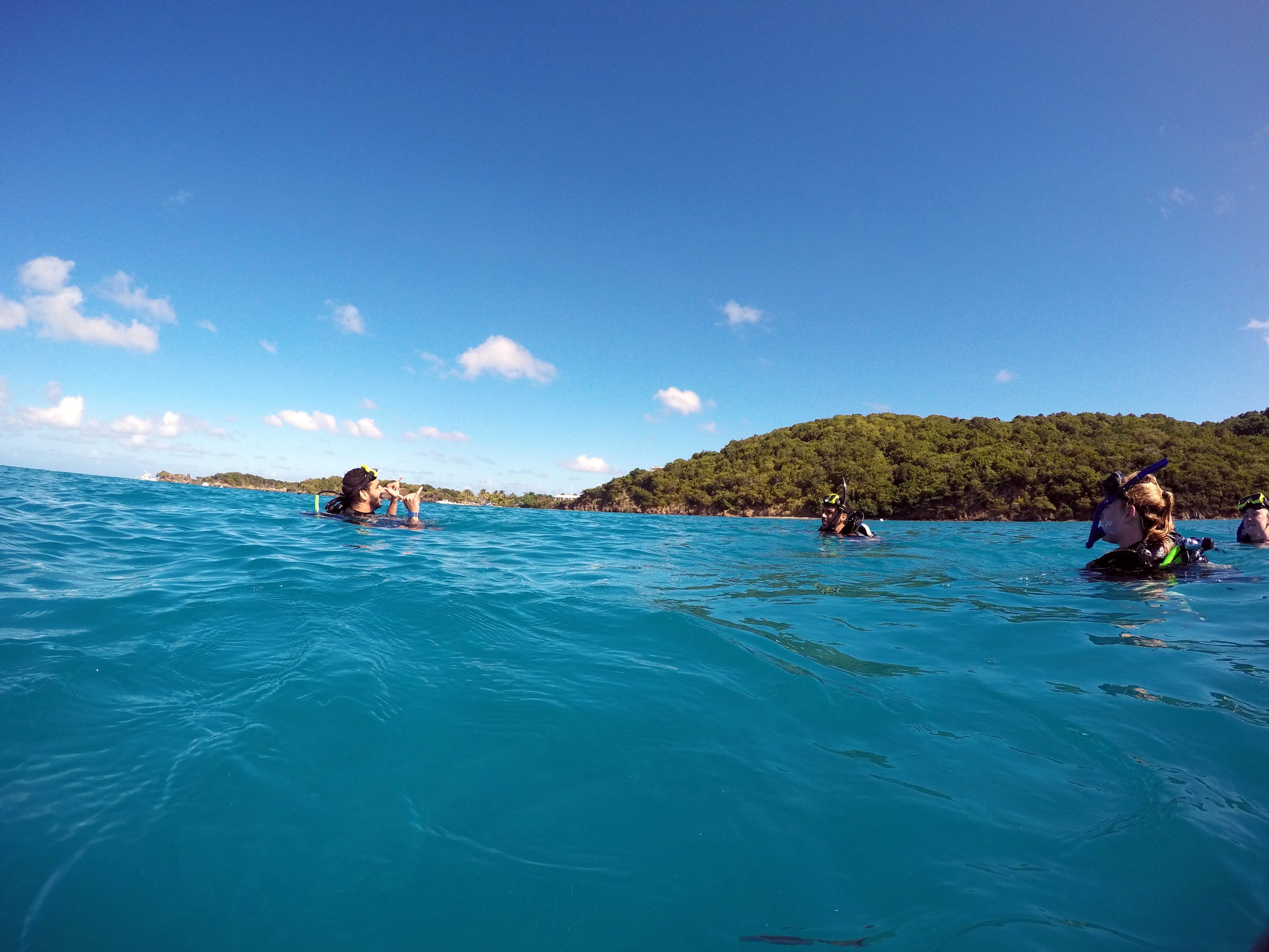 scuba divers above water