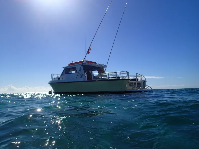Miss Calabash cruising the Caribbean