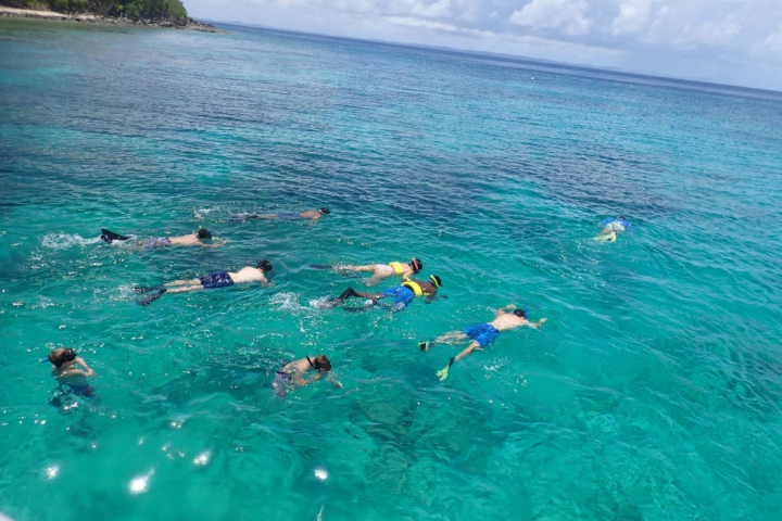 a group of people swimming in a body of water