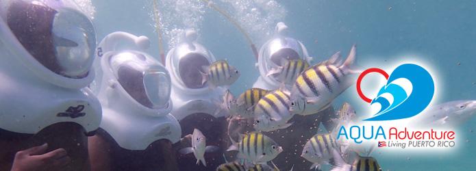 Sea Trek Four people wearing helmets like astronauts under water looking at brightly colored fish