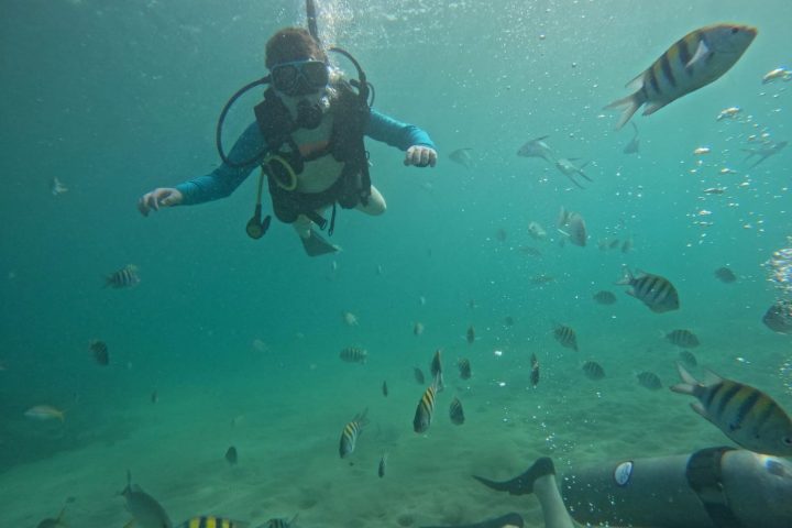a group of people swimming in the water