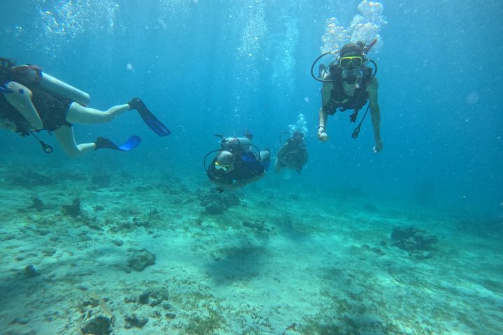 a man flying through the air while swimming in a body of water