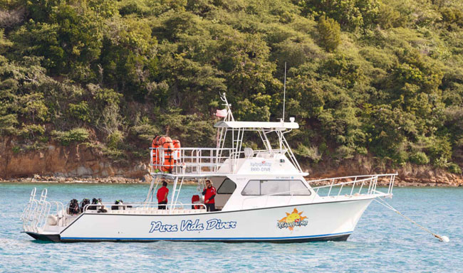 pura-vida-boat Pura Vida 46' Newton Scuba Diving boat