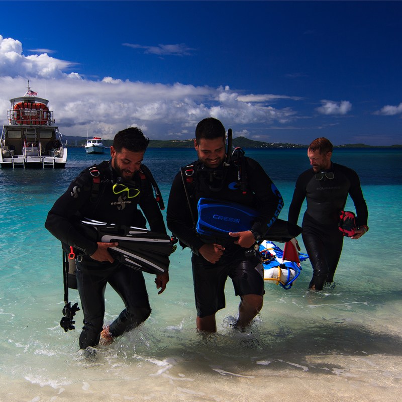 Scuba divers emerging onto beach