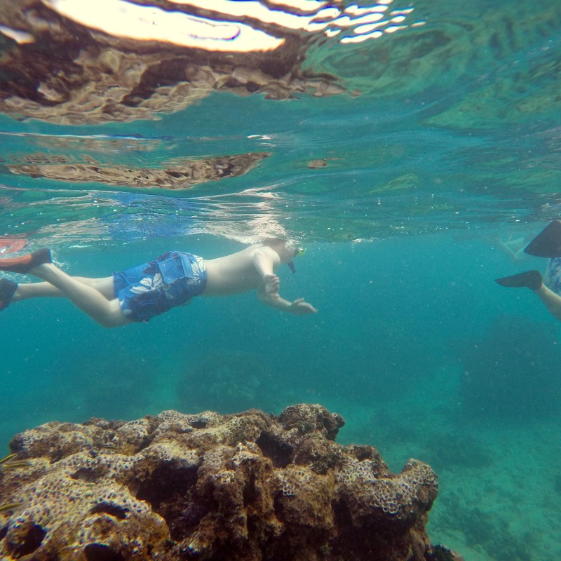 Child snorkler in Puerto Rico